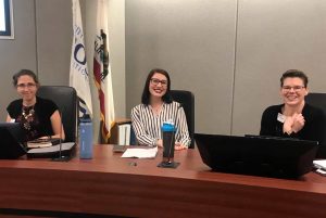 Leadership Roseville - Planning Commission Day